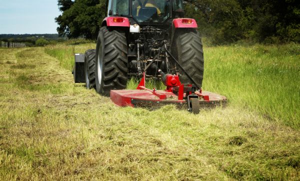 Brush Clearing Service in Puyallup