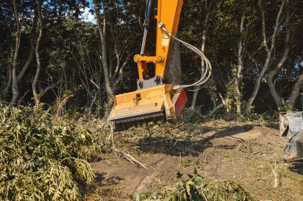 Brush Removal Service in Puyallup