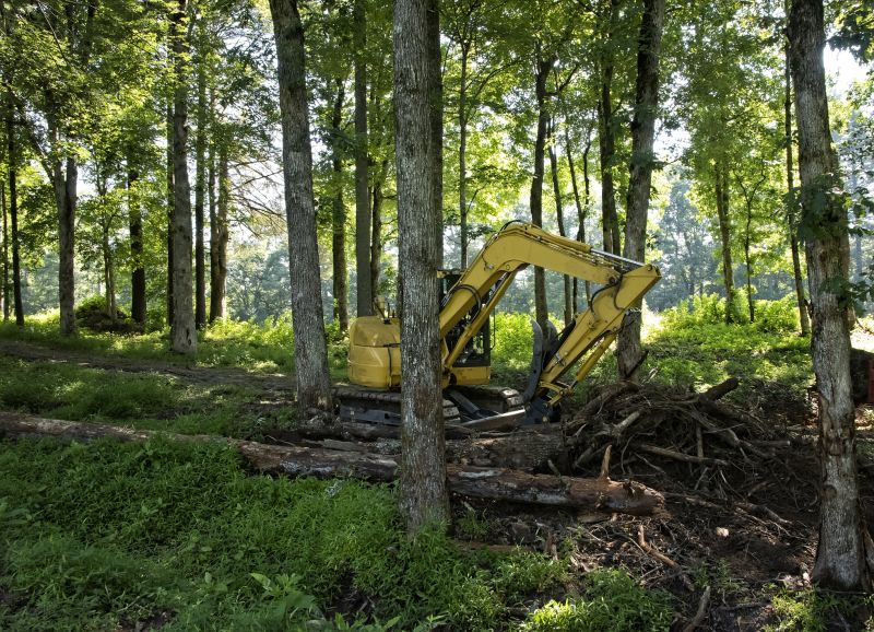 Efficient Land Clearing Process